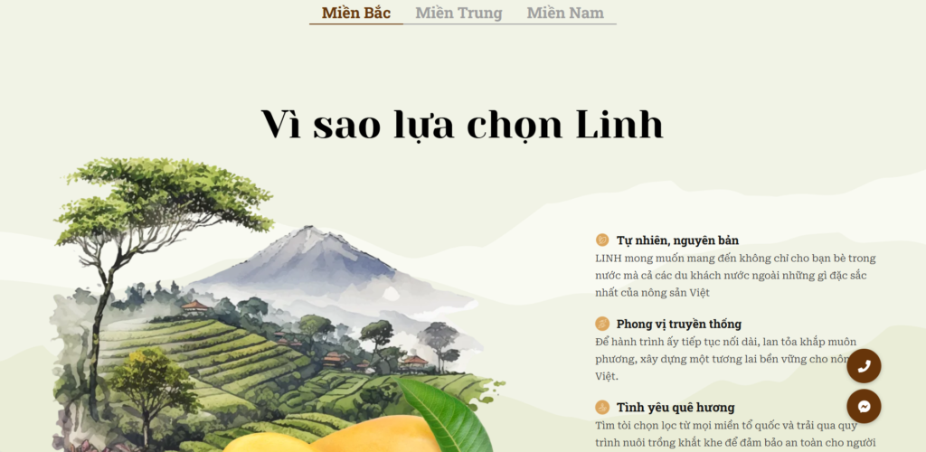 thiết kế website theo lối kể chuyện