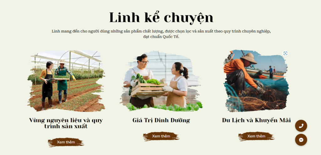 thiết kế website theo lối kể chuyện